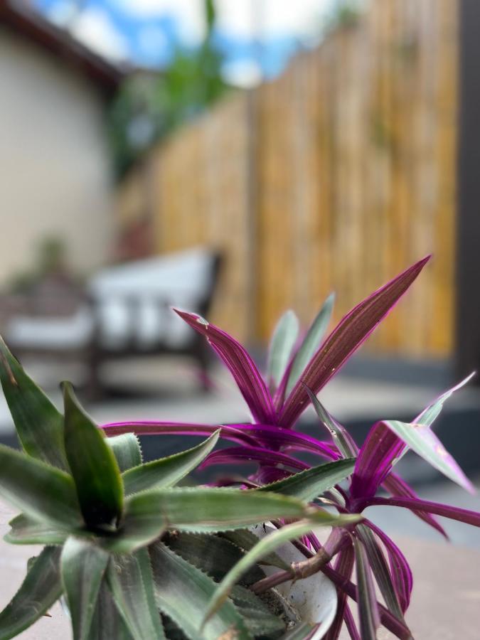 Coco Suites Abraão Exteriér fotografie